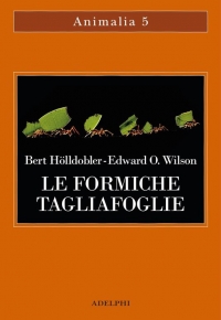 Le formiche tagliafoglie: la conquista della civiltà attraverso l&#039;istinto di Bert Hölldobler, Edward O. Wilson (COLL. 595.7 HOL)