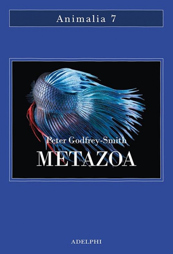 Metazoa : gli animali e la nascita della mente di Peter Godfrey-Smith (COLL. 591 GOD)
